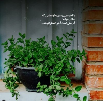 سپهر خلسه بعد دو روز اومد وکیل رو خط گفتش